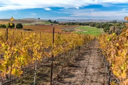Yountville Napa'daki Ahır