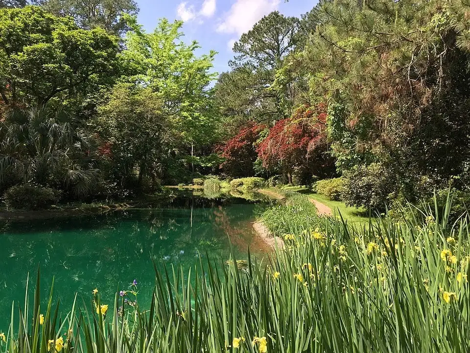 Rivière Chipola