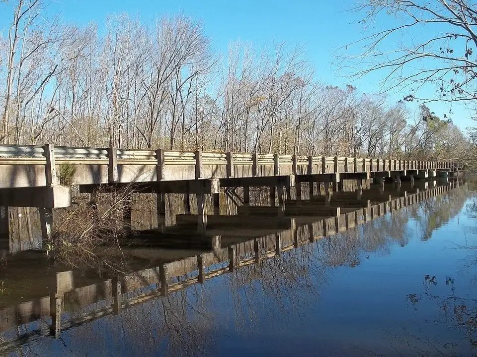Pointe d'alligator