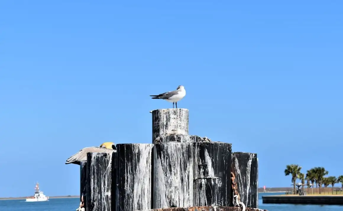 Captains Quarters Inn Port Aransas