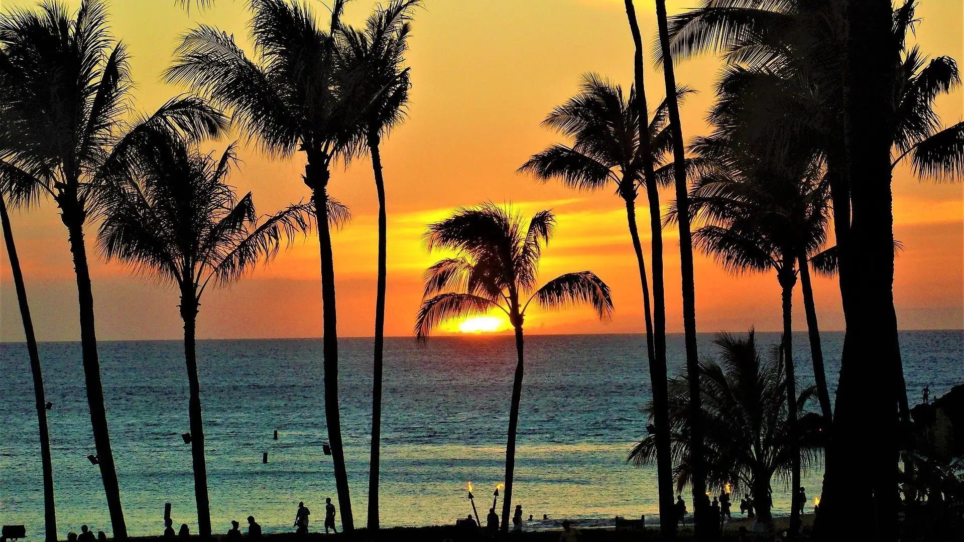 Menginap di rumah pokok di Hawaii