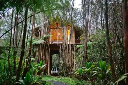 Rumah Pokok Tropika Idaman