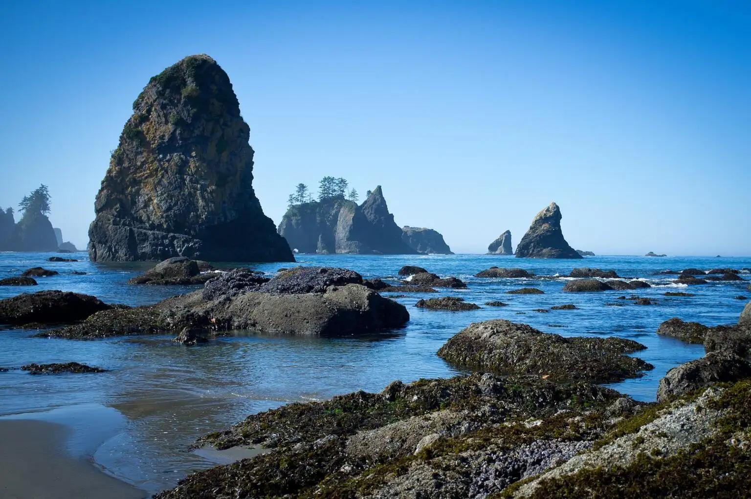 shi shi beach road trip sur la péninsule olympique de Washington