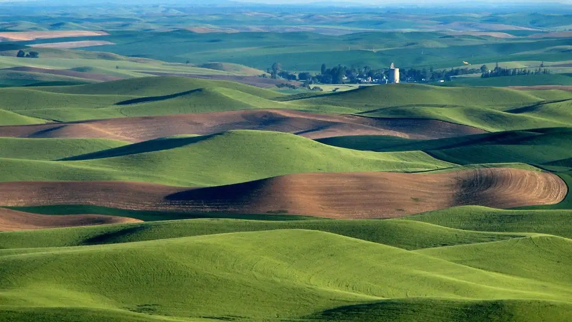 Palouse Hills, voyage sur la route de l'État de Washington