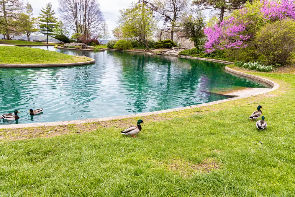 Renoveret Condo