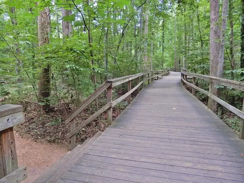 Suopuutarha Benjamin Parkissa, Greensborossa