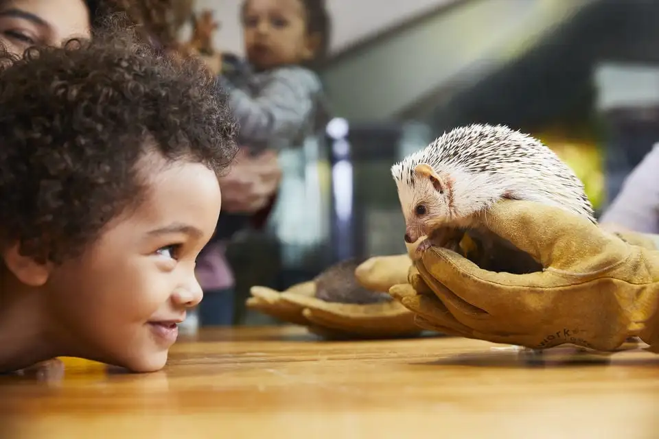 Le Musée des Sciences