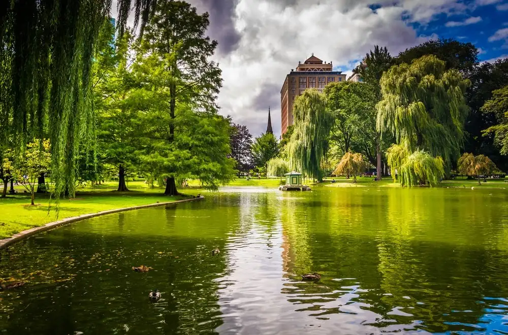 Jardin public de Boston
