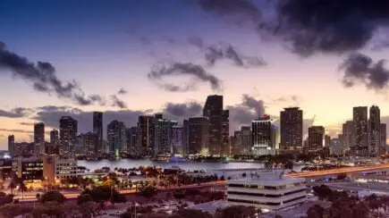 Un peu de street art à Miami