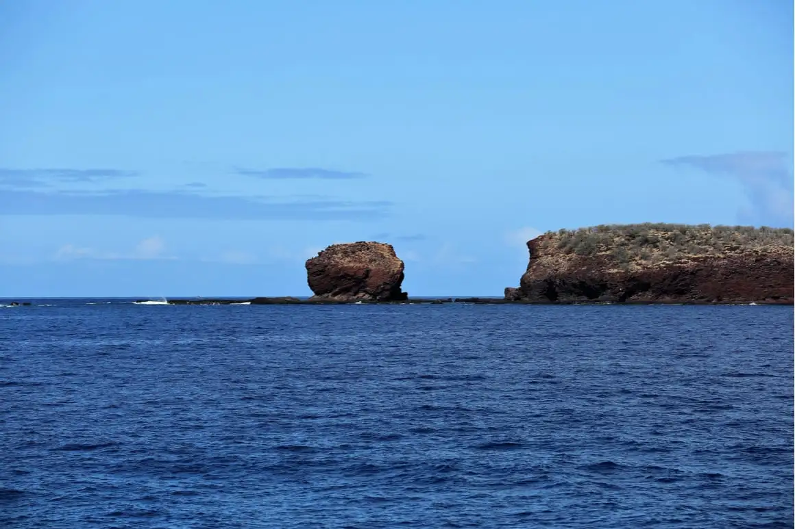 от Brums Lanai