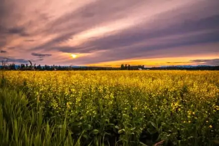 Missoula-Montana 2
