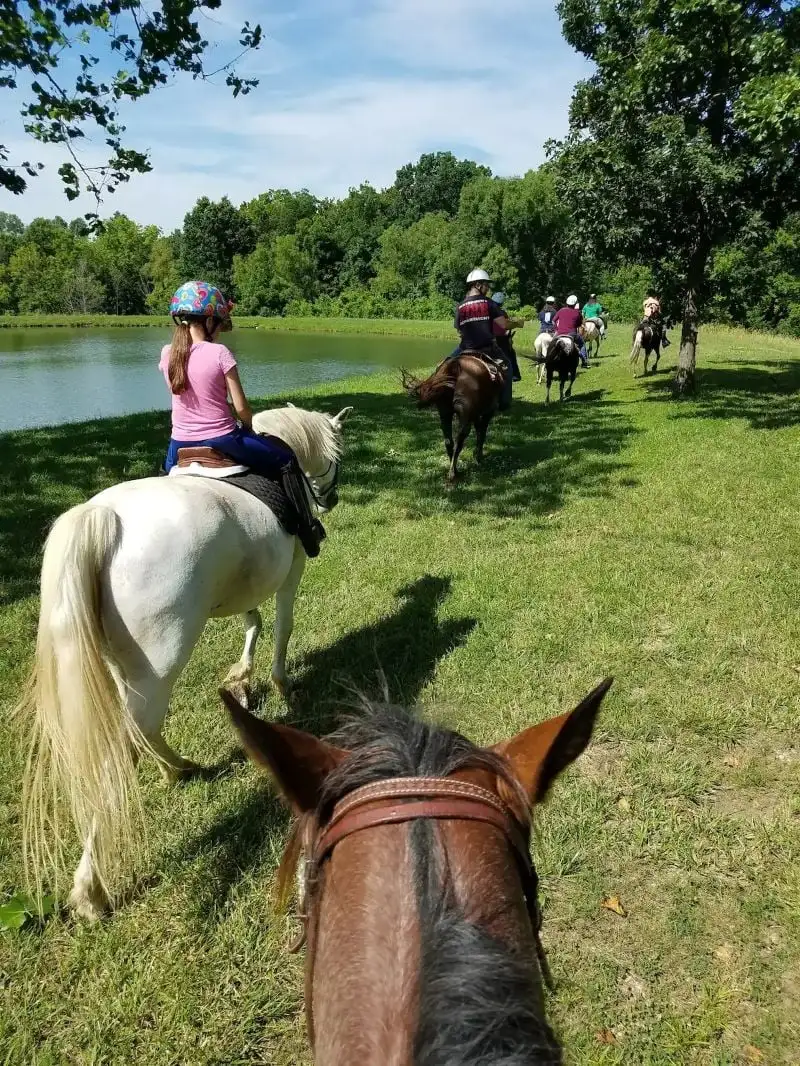 Excursion d'une demi-journée à LaCygne KS, Kansas City