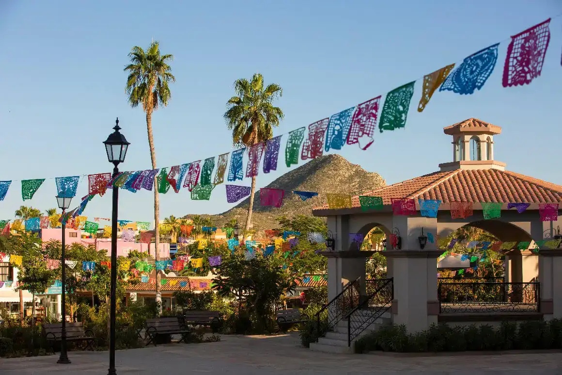 Marina Los Cabos