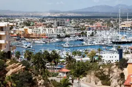 Pemandangan kota Cabo San Lucas dengan kapal pesiar berjajar di pelabuhan dikelilingi oleh bangunan dan pohon palem
