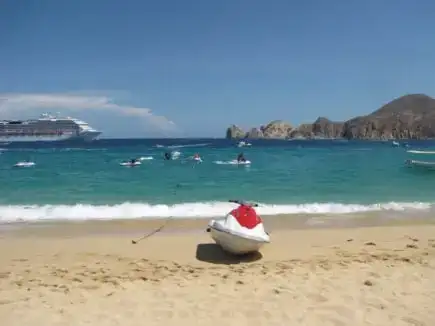 Monyet Maya Los Cabos