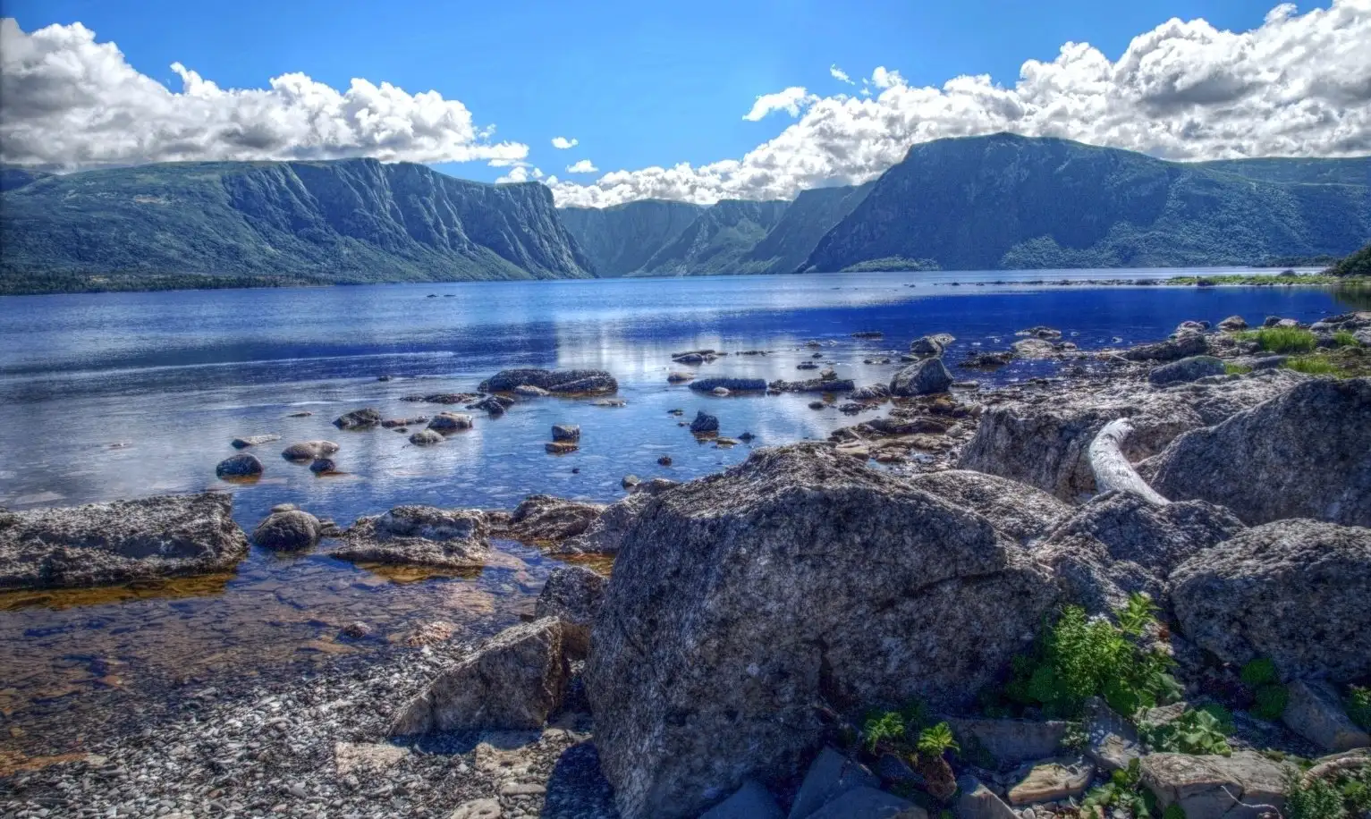 Fjord sur l'étang Western Brook à Gros Morne