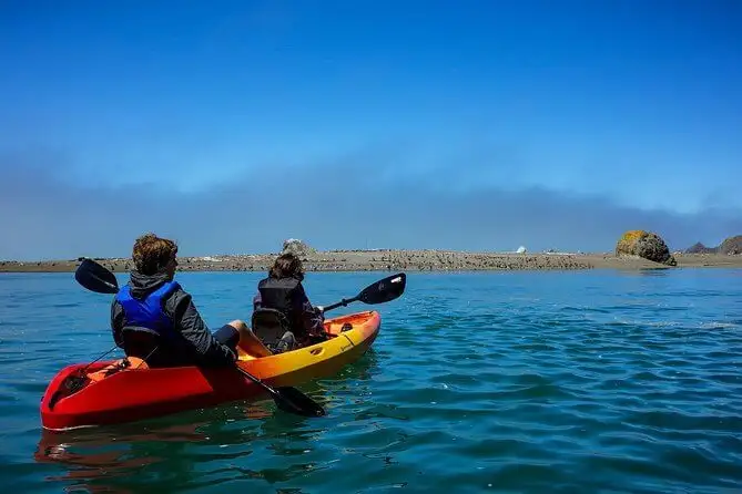 Domaine viticole Bay, Californie