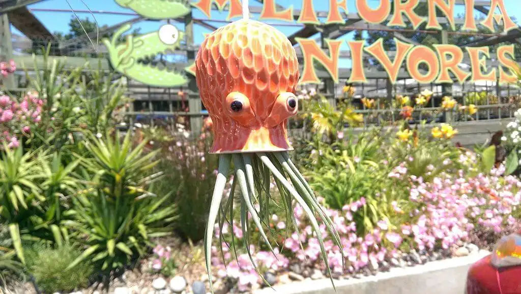 Fête de peinture à Santa Rosa, Californie