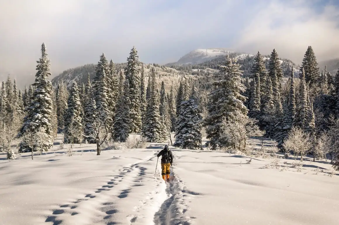 Un homme skiant dans la neige avec un arbre en arrière-plan sur une pente à Steamboat Springs, Colorado