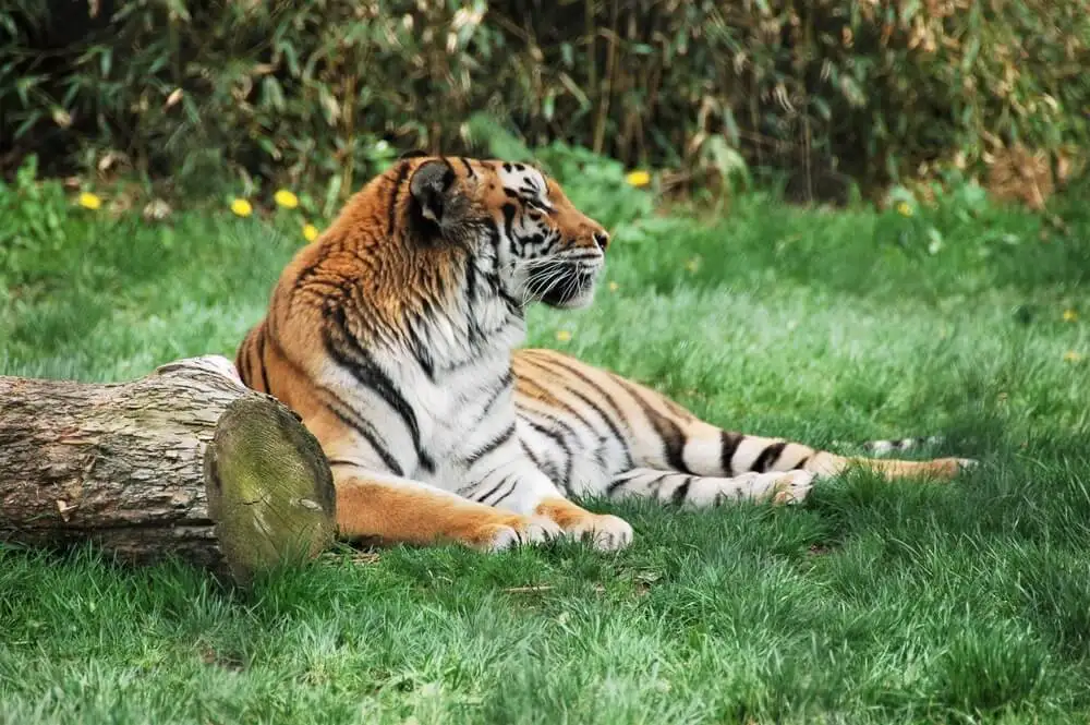 Zoo du parc Franklin