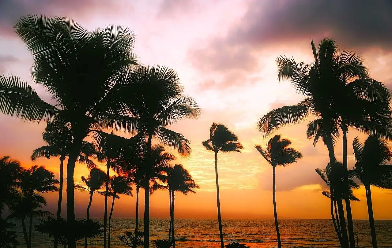 coût d'un voyage à Hawaï