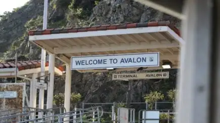 Cala Hamilton