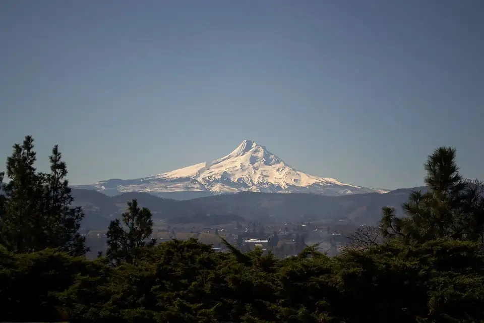 Excursió d'un dia a Portland de vi i cascades