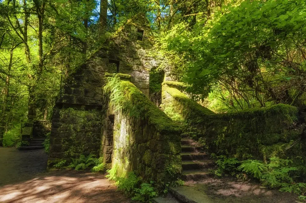 Parc forestal de Portland