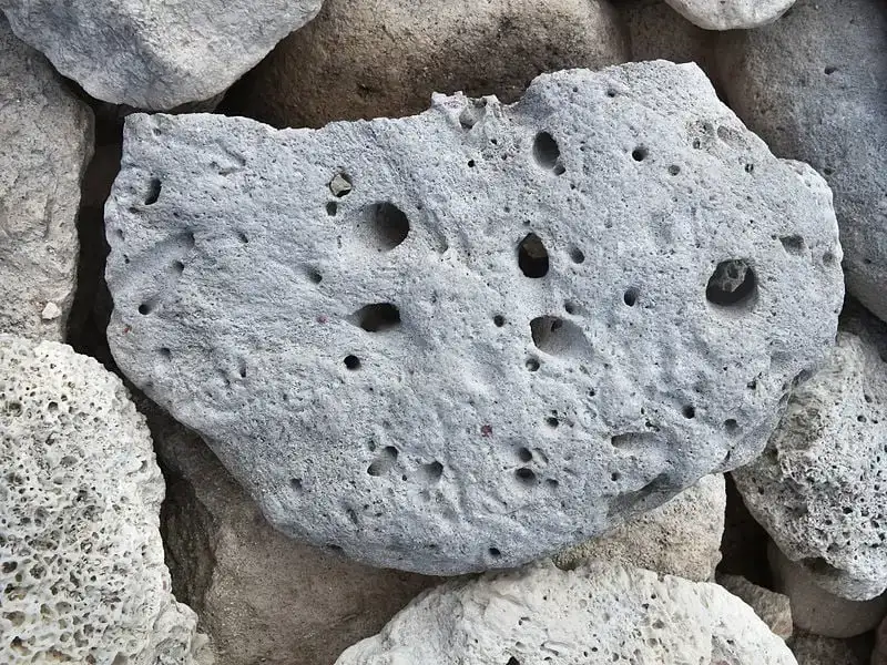 मैक्सिकन भोजन टुलम टैकोस