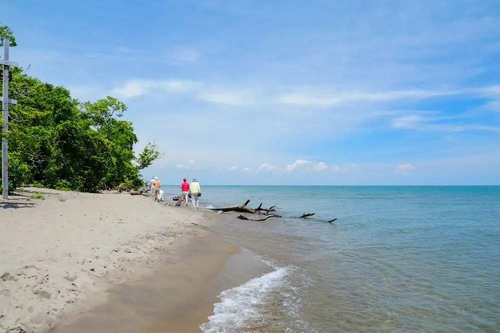 Île Pelée