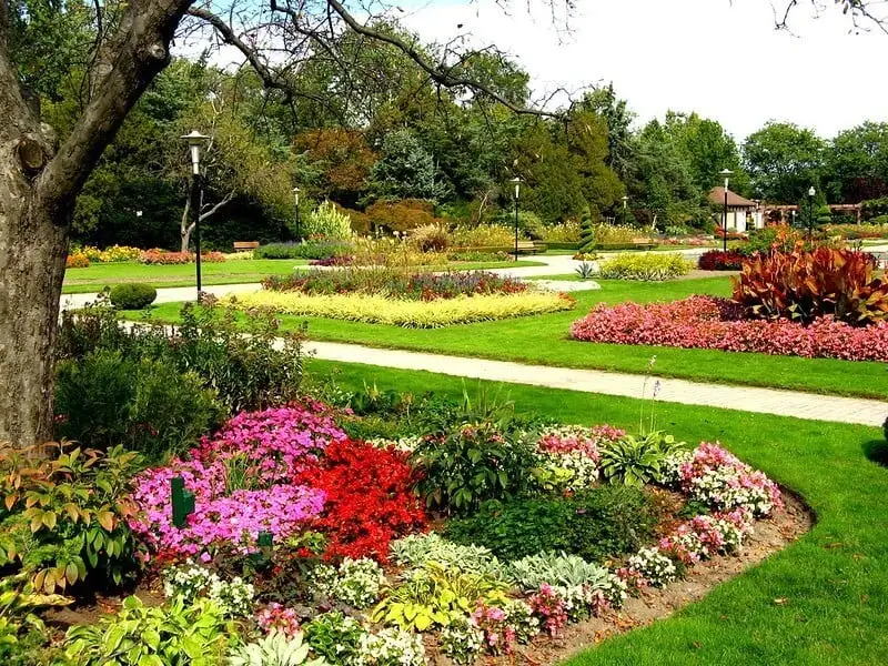 Parc Jackson
