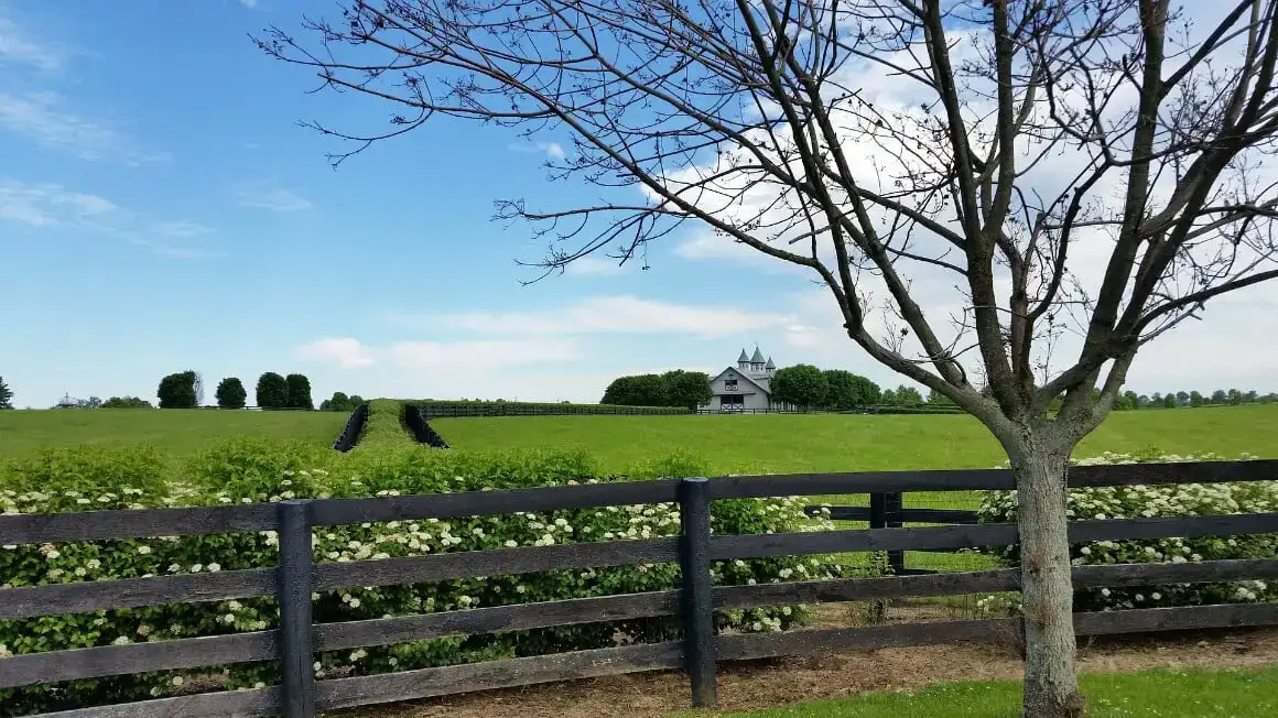LexingtonKentucky