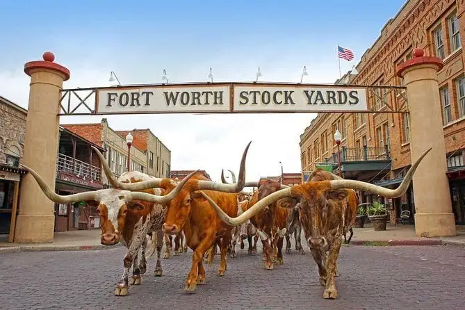 Mr Stockyards VIP tapasztalat