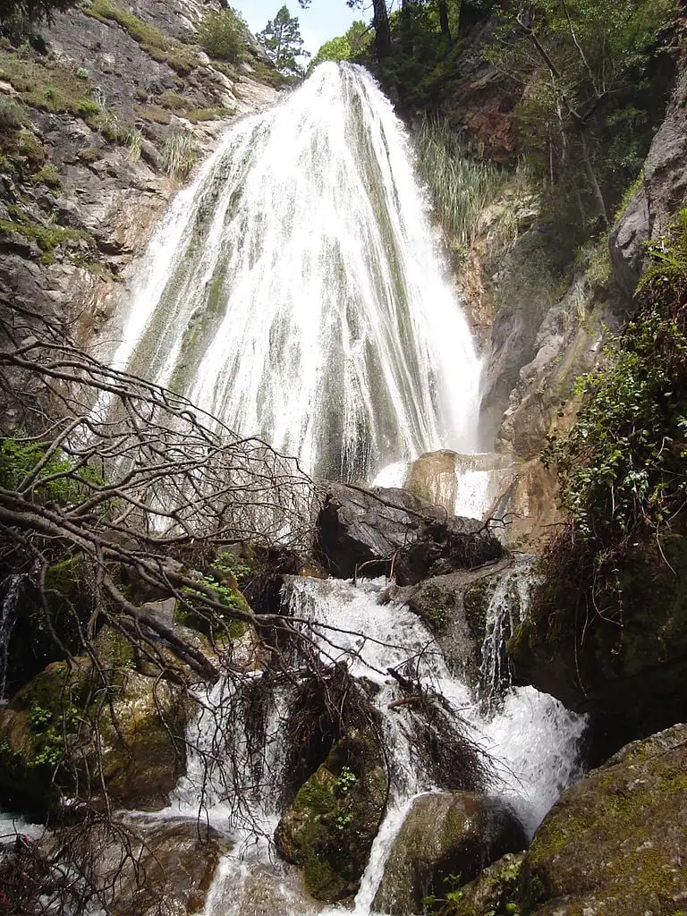 Pfeiffer State Park: campingplass i stor sur delstatspark