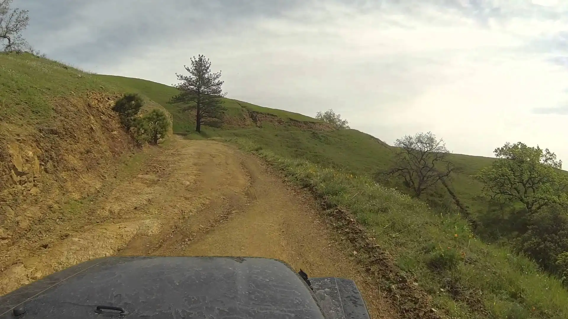 Plaskett Ridge Road camping i Big Sur