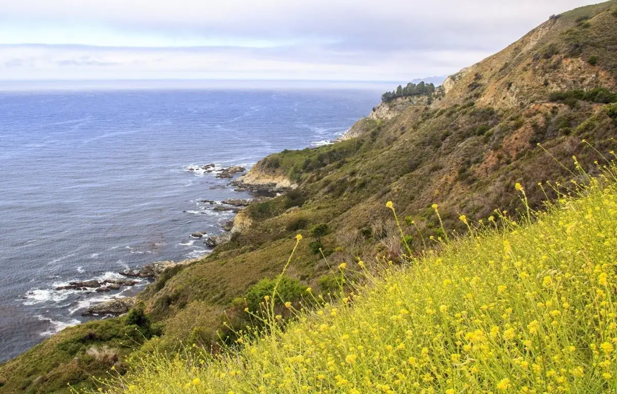 Los Burros veicamping i Big Sur