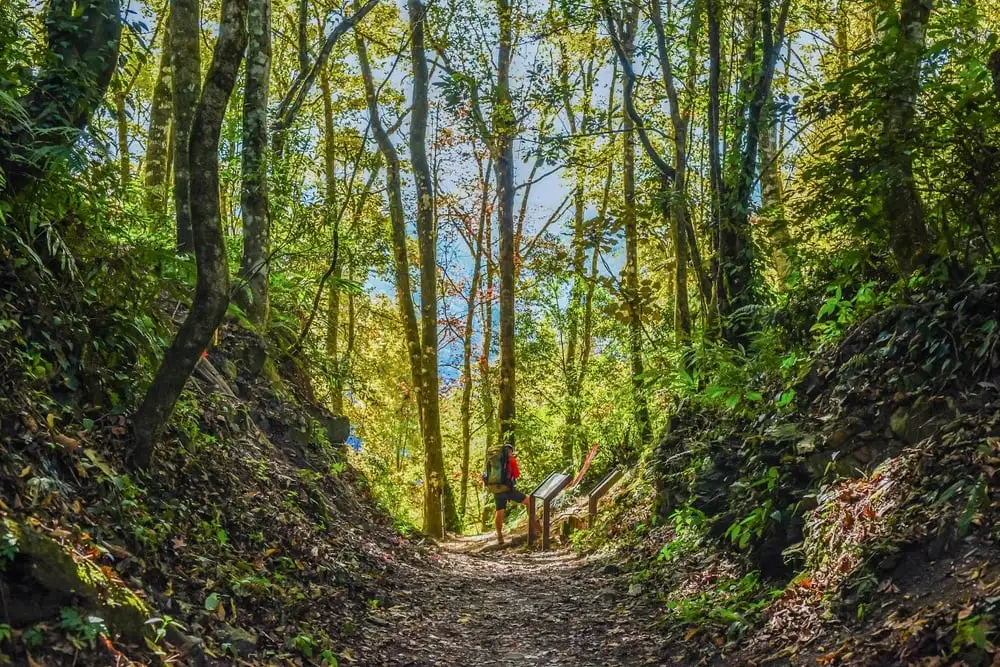 Noen som leter etter hvor de kan slå leir i Big Sur gratis