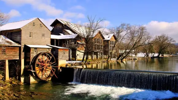 Fermes de cornouiller