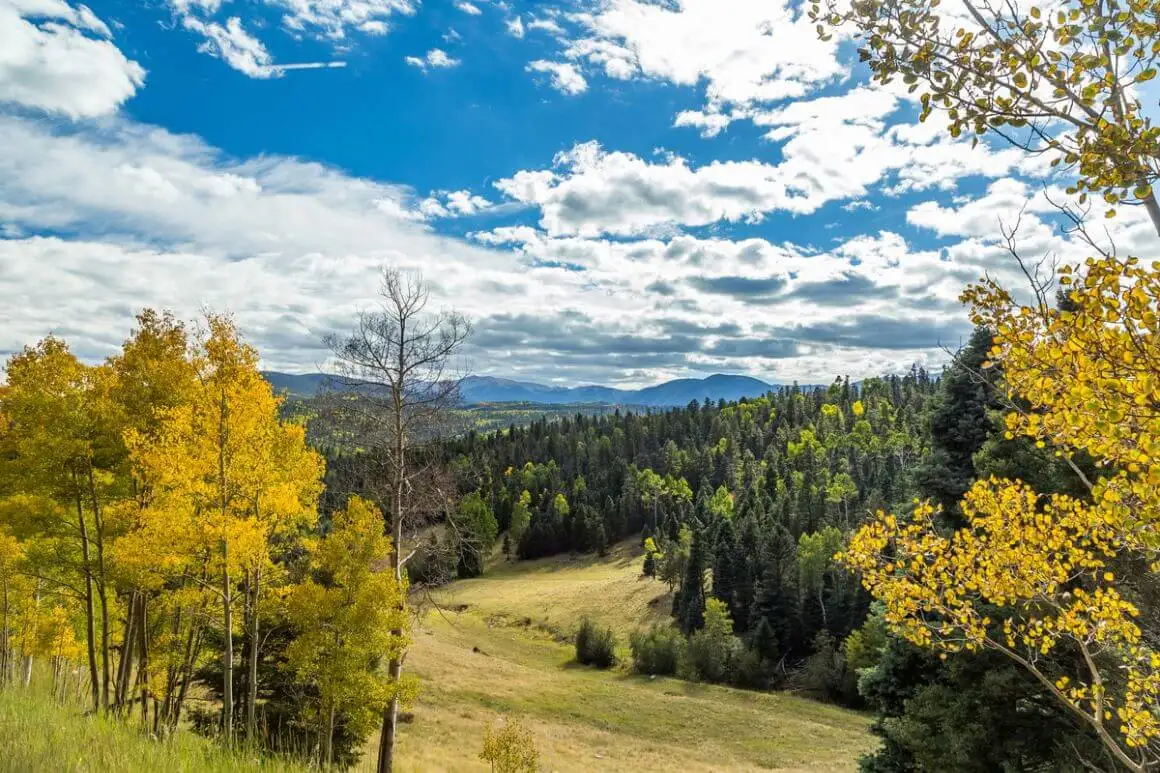Vallée de ski de Taos