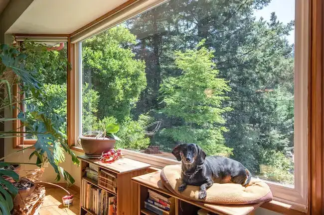 Suite Modern di Lokasi Luar Biasa Portland