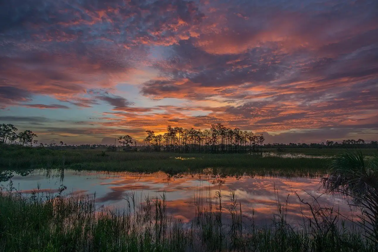 réserve de big cypress coucher de soleil en floride