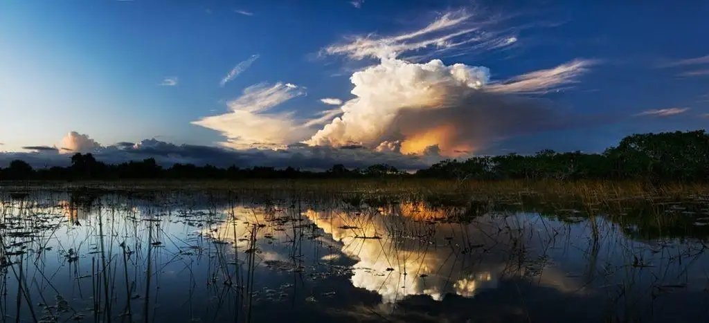 floride nuages d'orage au dessus des everglades floride