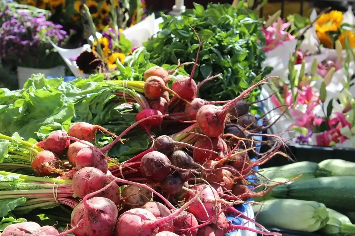 comida de rua em Nova York