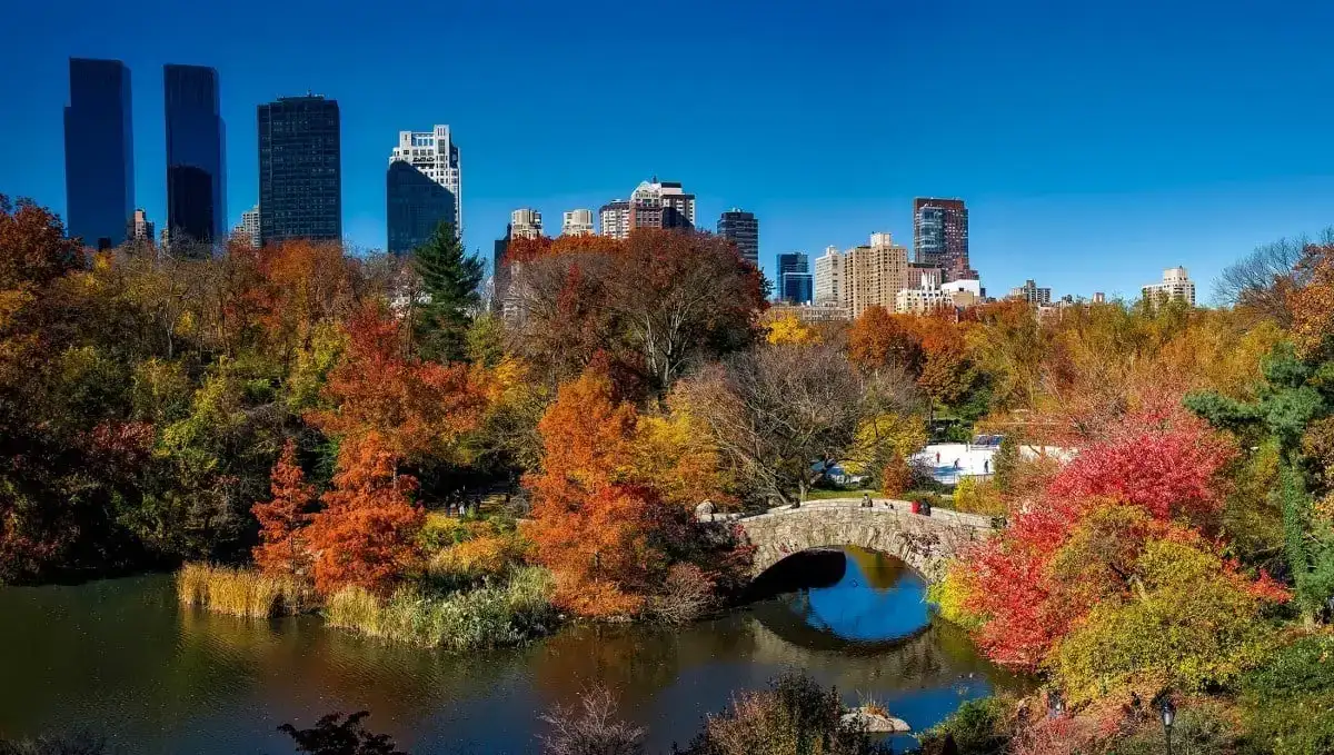 coisas para fazer em Nova York