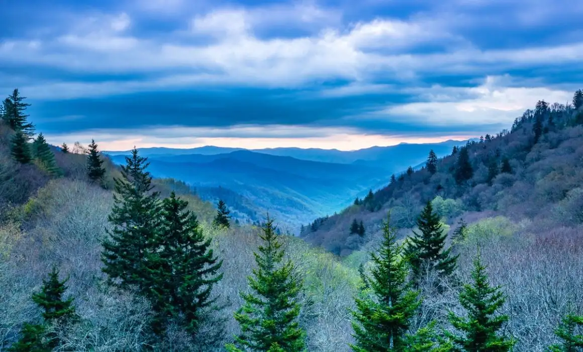 À quoi s'attendre des Airbnbs à Gatlinburg