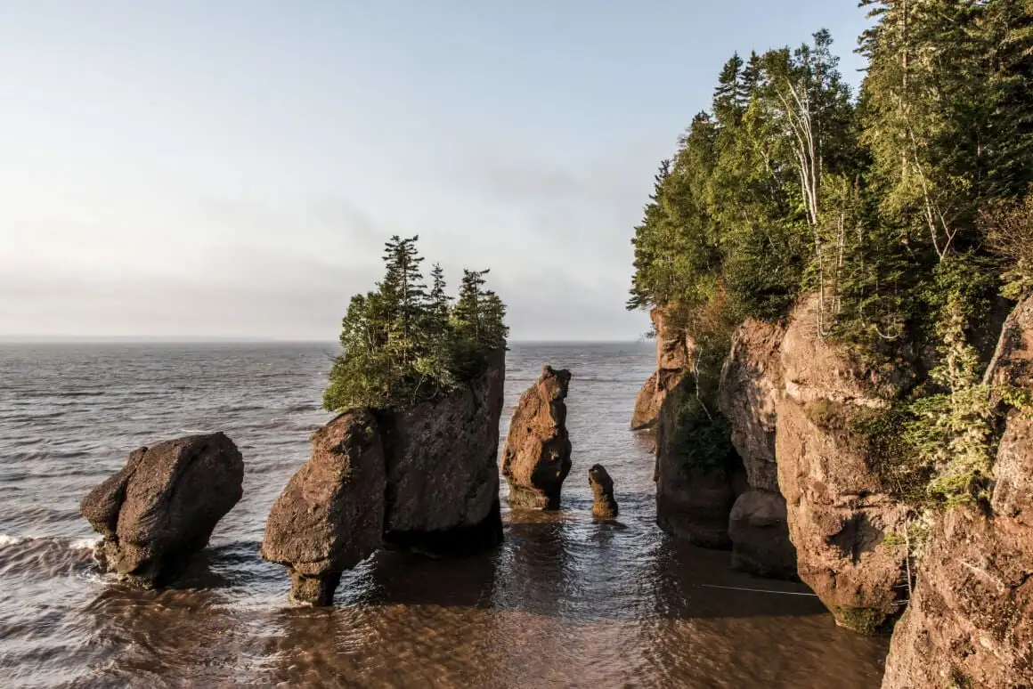 La baie de Fundy Nouveau-Brunswick