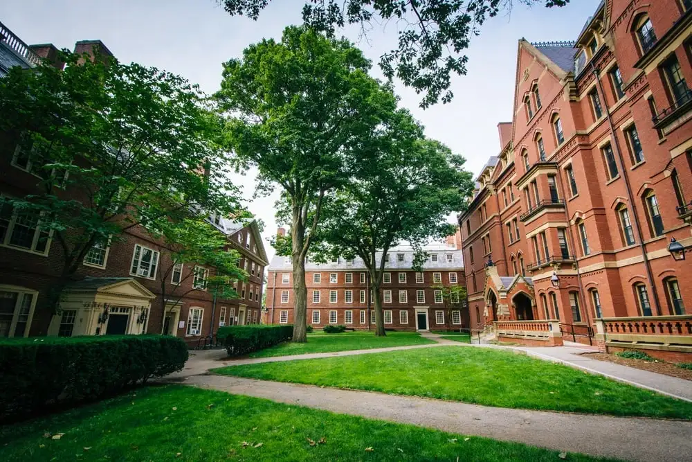 Cour de Harvard