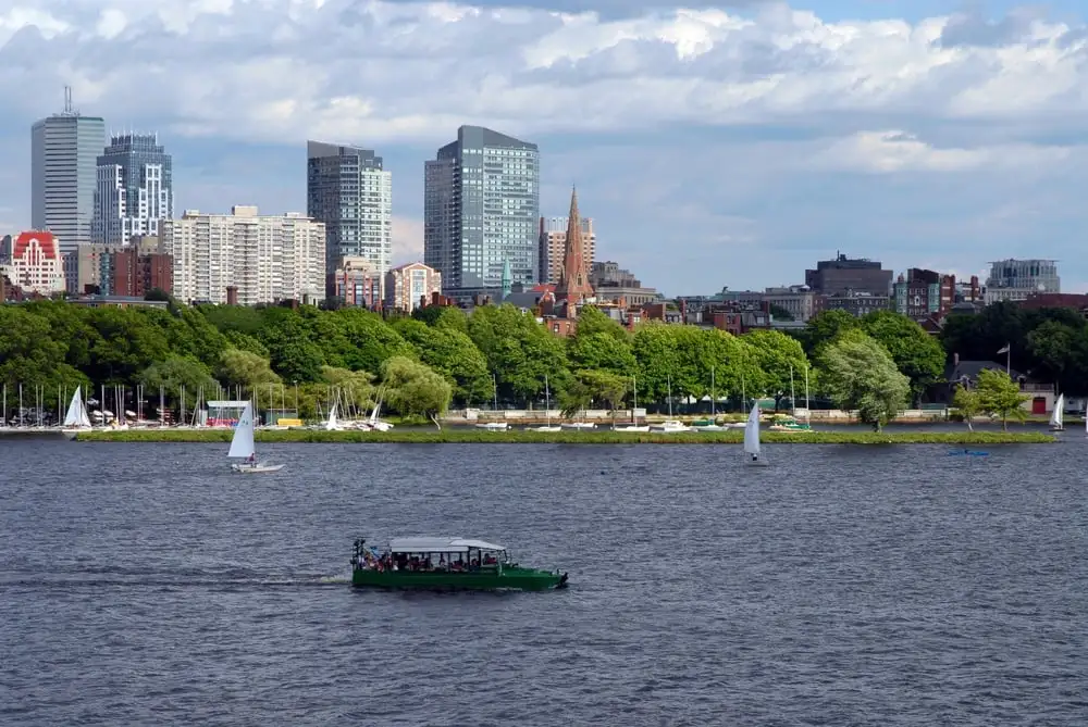 Visite des canards de Boston