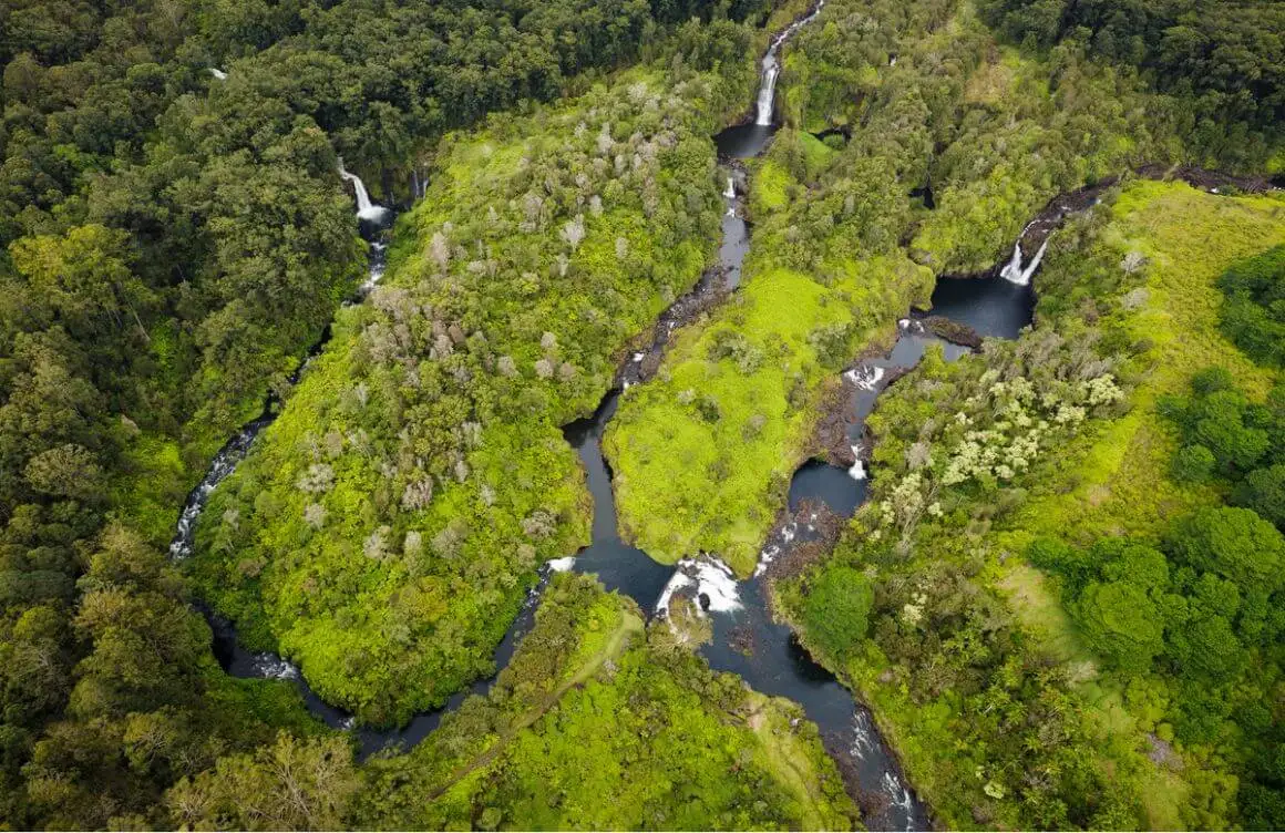 Mango Tree Cottage Hilo
