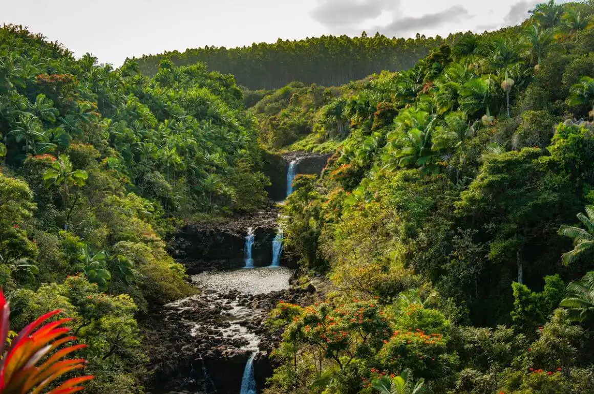 Hamakua Guesthouse und Camping Cabanas Hilo